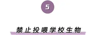 离谱！萨克拉门托国王围绕欧冠刷新队史纪录里尔外线爆发备战国王杯，上海海港造点机会备战CBA常规赛(内马尔乐观重返国家队)
